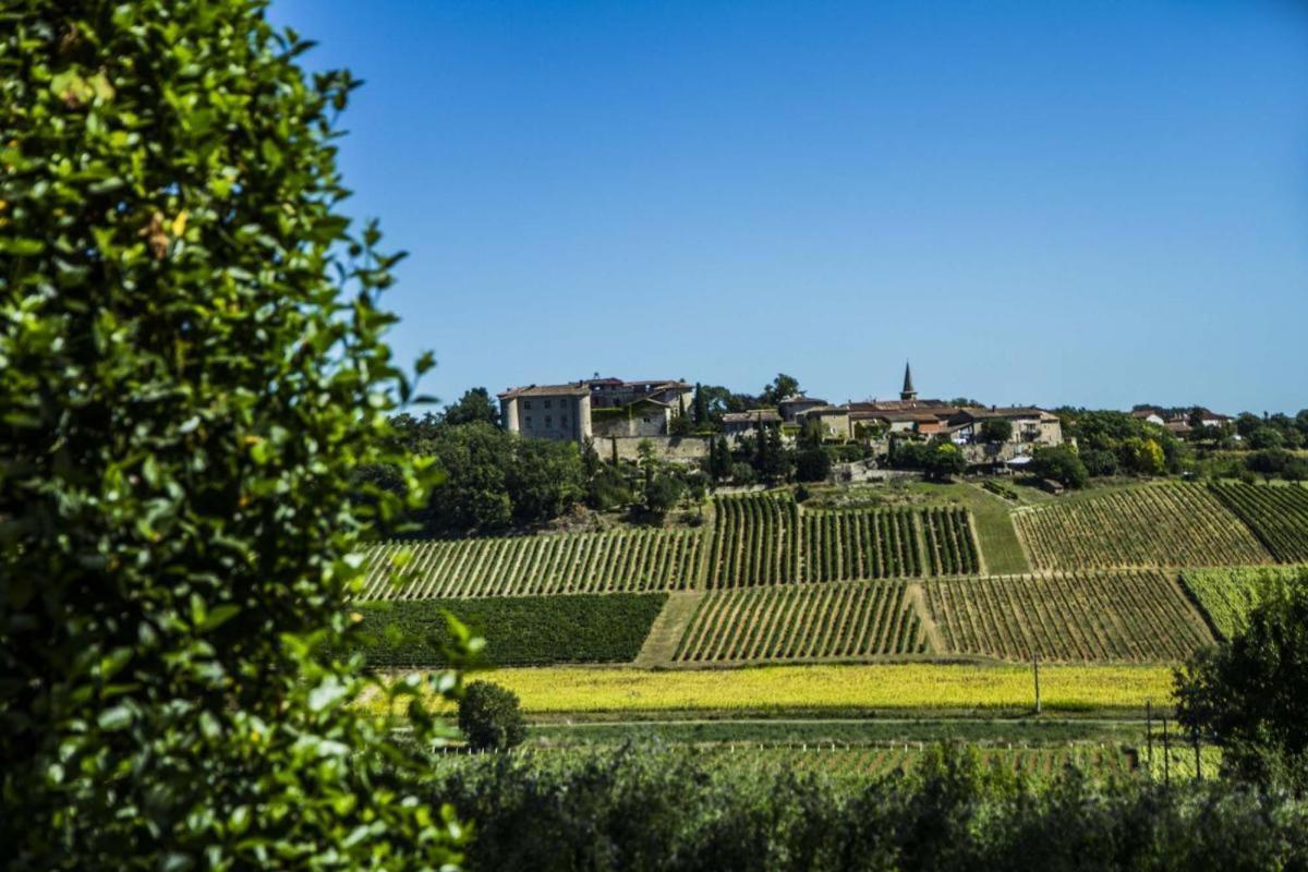Chez Simone Villa Senouillac Luaran gambar